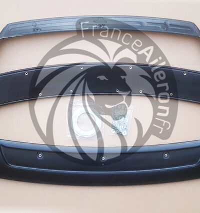 Aileron RS Replica pour Audi TT 8J