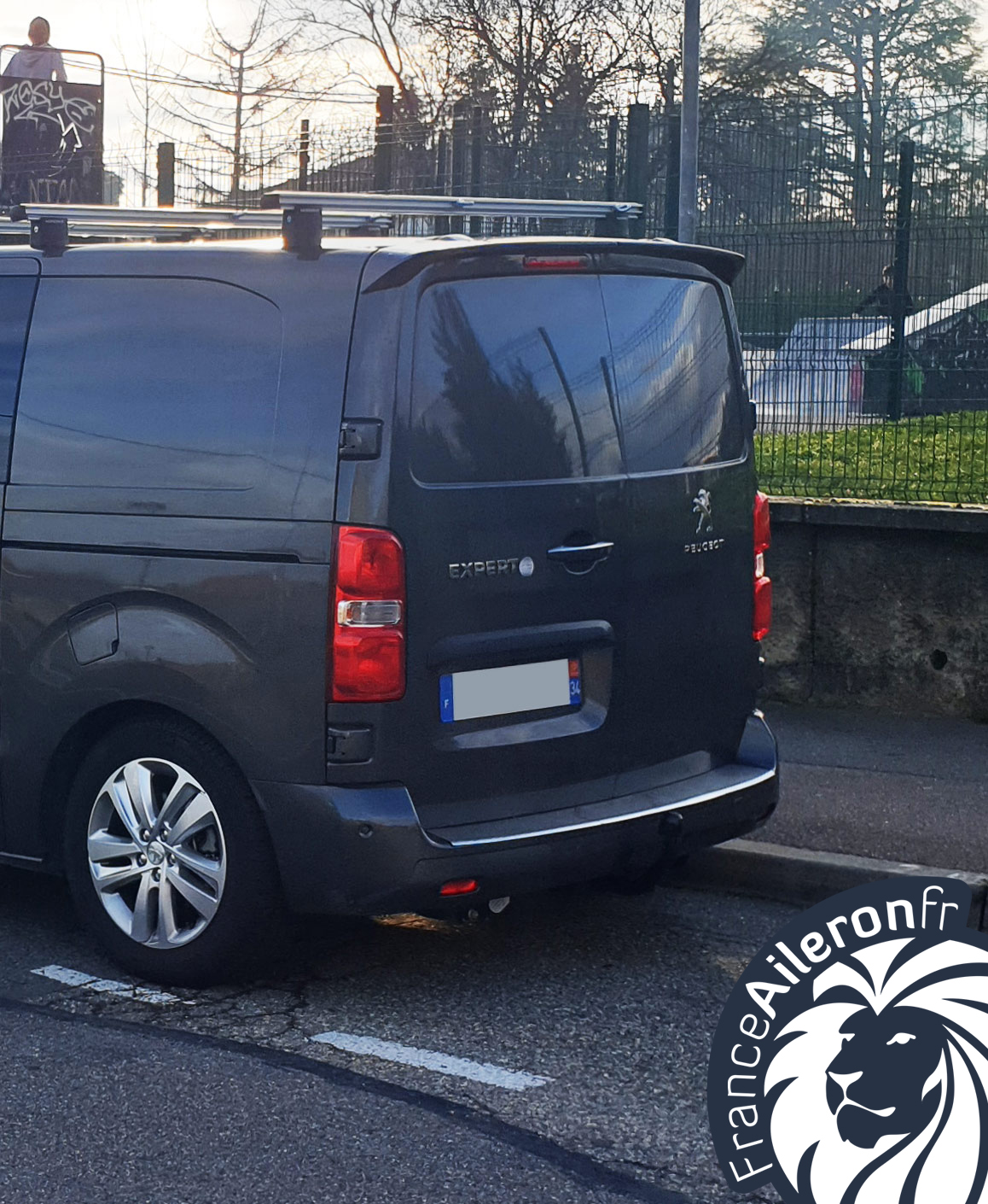 Becquet pour Peugeot Expert 3
