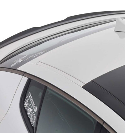 Becquet / Extension CAP pour Kia Stinger GT (depuis 2017)