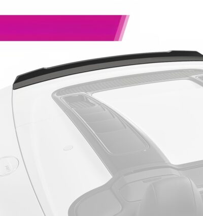 Becquet / Extension CAP pour Audi R8 4S Spyder (depuis 2015)