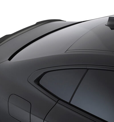 Becquet / Extension CAP pour BMW Série 2 (F44) Gran Coupé (depuis 2020)