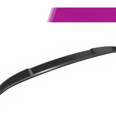 Becquet / Extension CAP pour BMW X4 G02 (y compris M-Paket, M40i et M40d) (depuis 2018)