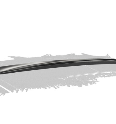 Becquet / Extension CAP pour Mercedes-Benz AMG GT (190) coupé (03/201512/2021)