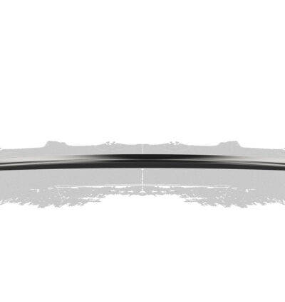 Becquet / Extension CAP pour Mercedes-Benz AMG GT (190) coupé (03/201512/2021)