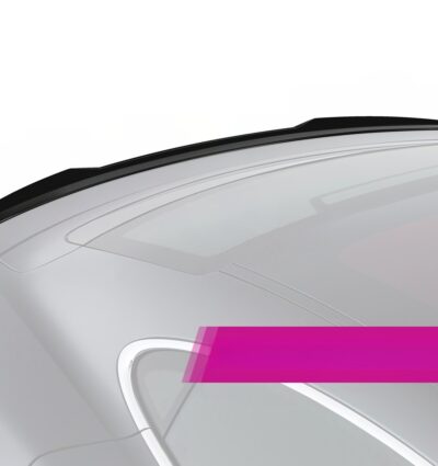 Becquet / Extension CAP pour Porsche Taycan (depuis 2019)
