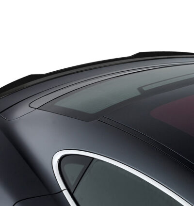 Becquet / Extension CAP pour Porsche Taycan (depuis 2019)