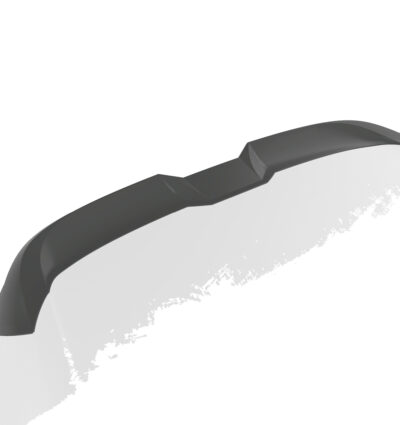 Becquet / Extension CAP pour BMW iX (depuis 2021)