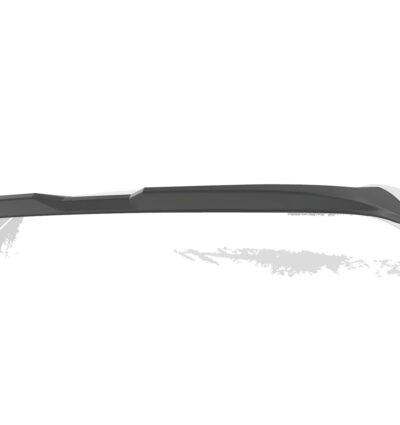 Becquet / Extension CAP pour BMW iX (depuis 2021)