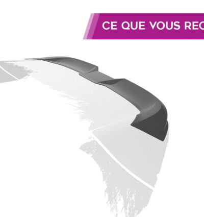 Becquet / Extension CAP pour BMW iX (depuis 2021)