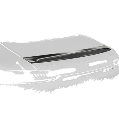 Becquet / Extension CAP pour Mercedes-Benz AMG GT (190) (03/2017-12/2021)
