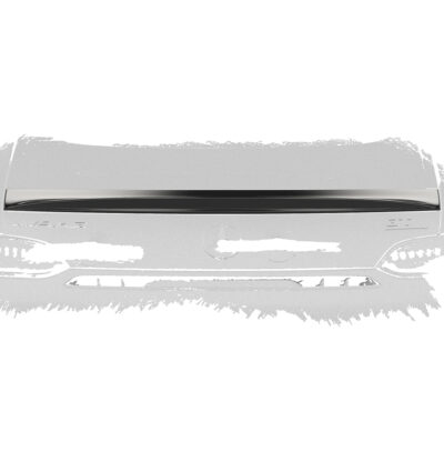 Becquet / Extension CAP pour Mercedes-Benz AMG GT (190) (03/2017-12/2021)