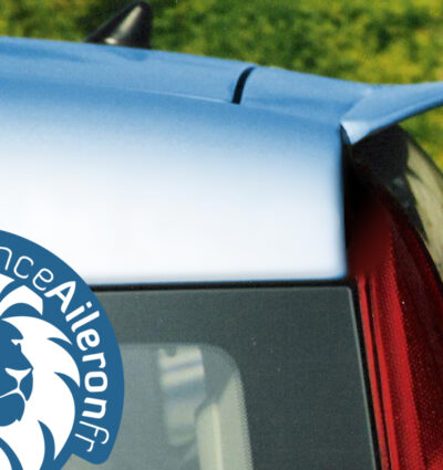 Becquet pour Fiat Panda 2