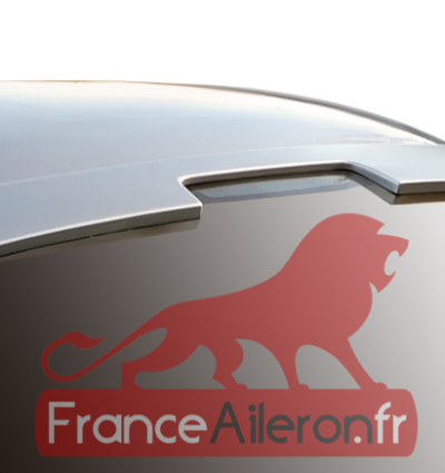 Becquet / Casquette pour BMW Série 3 E46 Berline