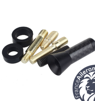 Mini antenne carbone