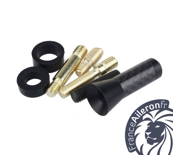 Mini antenne carbone