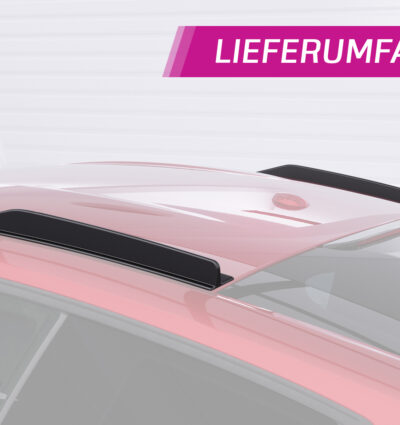 Ailettes de toit (la paire) pour Ford Mustang MK6 coupé / Fastback (2014-2023) - Fabriqué en ABS (6 finitions au choix)