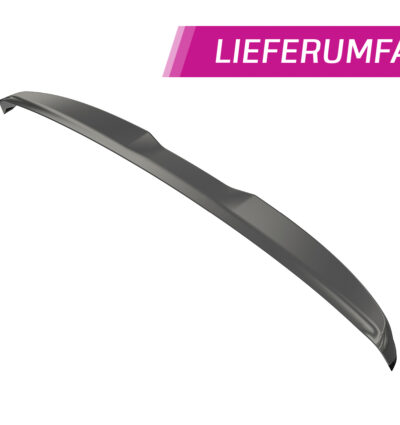 Becquet / Extension CAP pour VW T5 toutes carrosseries (2003-2015) - Fabriqué en ABS (6 finitions au choix)
