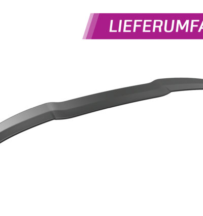 Becquet / Extension CAP pour Ford Fiesta MK8 ST / ST-Line avec pack esthétique (depuis 2017) - Fabriqué en ABS (6 finitions au choix)