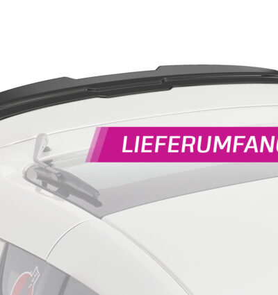 Becquet / Extension CAP pour Nissan 370Z Nismo (depuis 07/2013) - Fabriqué en ABS (6 finitions au choix)