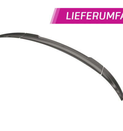 Becquet / Extension CAP pour Audi R8 4S Spyder (depuis 2015) - Fabriqué en ABS (6 finitions au choix)