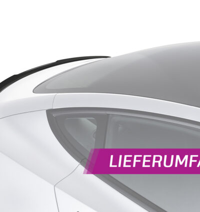 Becquet / Extension CAP pour Tesla Model 3 toutes carrosseries (depuis 2017) - Fabriqué en ABS (6 finitions au choix)