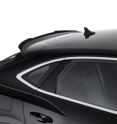 Becquet / Extension CAP pour Audi Q3 (Typ F3) Sportback (depuis 2019) - Fabriqué en ABS (6 finitions au choix)