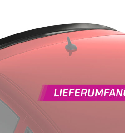 Becquet / Extension CAP pour Seat Leon I (1M1) Cupra / FR (1999-2006) - Fabriqué en ABS (6 finitions au choix)