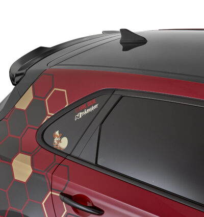 Becquet / Extension CAP pour Hyundai I30 PD hatchback (auch N-Line) (depuis 2017) - Fabriqué en ABS (6 finitions au choix)
