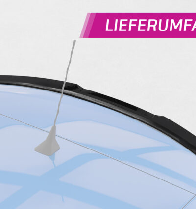 Becquet / Extension CAP pour Renault Zoe toutes carrosseries (depuis 12/2012) - Fabriqué en ABS (6 finitions au choix)