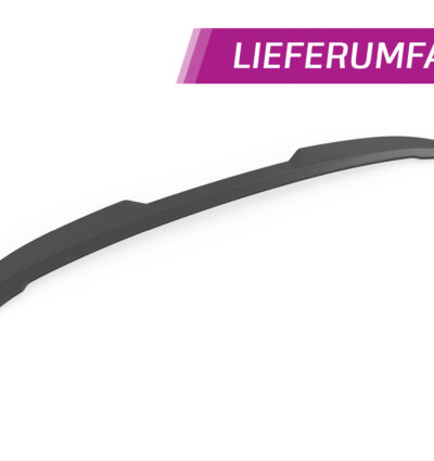 Becquet / Extension CAP pour Ford EcoSport MK2 toutes carrosseries (depuis 2012) - Fabriqué en ABS (6 finitions au choix)