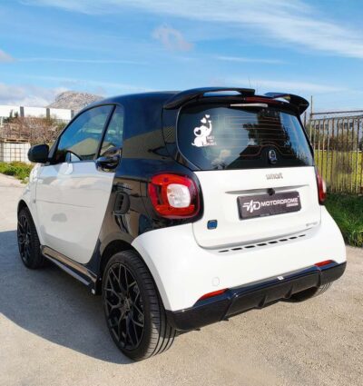 Aileron / Becquet de toit Smart 453 Fortwo